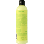 Vegan Lemon & Lime Sorbet Conditioner-483